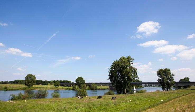 Voorkeursstrategie Bedijkte Maas Maas bij Ravenstein Rivierverruiming waar het kan en dijkversterking waar het moet.