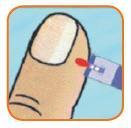 5. Duw de prikpen tegen de zijkant van de vingertop en prik. Neem steeds een andere vinger. 6. Stuw zo nodig bloed naar uw vingertop door van de basis van de vinger naar de top te wrijven.