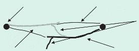 Om een absoluut vogeldicht dek te creëren wordt aan beide foliebanen een strook hagelnet genaaid die op de onderliggende foliebaan hangt (zie figuur 1).
