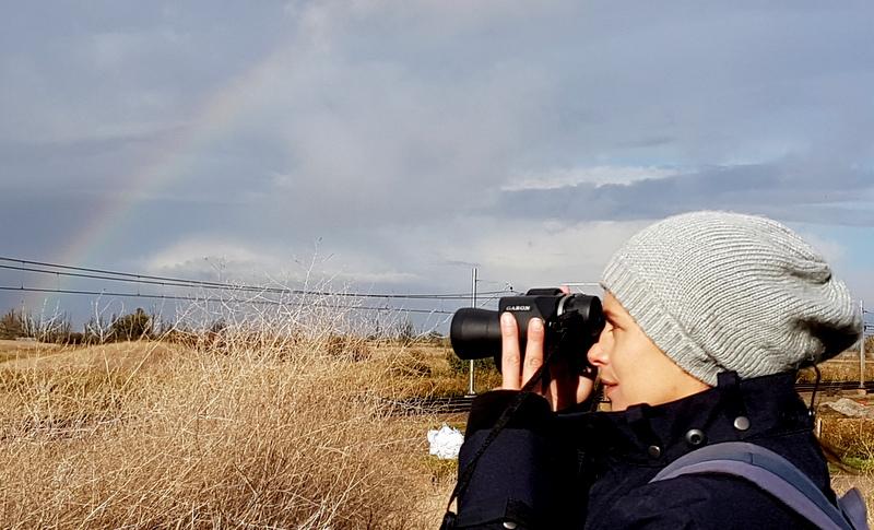 Zondag 6 november 2016: Middagexcursie in de Oostvaardersplassen. Gids: Pim Julsing In de ochtend viel de regen nog met bakken uit de lucht, maar toen ik om 11.