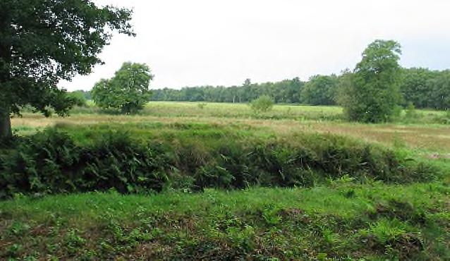 nakomelingschap over te leveren. De provincie Drenthe heeft het beheer van haar archeologische monumenten overgedragen aan Het Drentse Landschap.