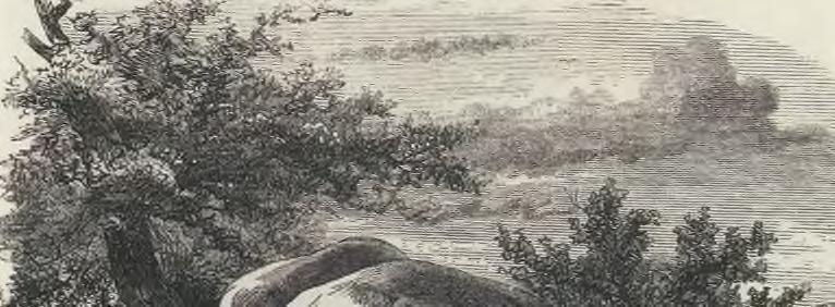 Hunebed D10 bewijst dat de mens zich al minstens 5000 jaar met de Gasterse Duinen heeft beziggehouden. Interessant zijn de oude karrensporen die nog steeds diepe voren door het heide trekken.