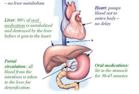 Orale toediening Lever: Metabolisme voor het naar het