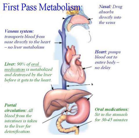 Mucosale toediening Nasaal / oromucosaal direct in veneus systeem Veneuze systeem: Bloed van neus / mond meteen naar hart Lever: Metabolisme voor het naar het hart gaat