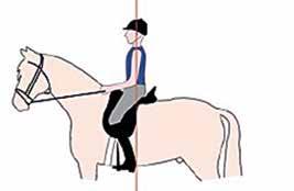 Of een ruiter nu korte benen of juist hele lange benen heeft, ze moeten rustig aan het paard liggen. Daarbij is de juiste beugellengte heel belangrijk.