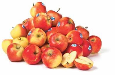 98 Bak 400 gram PLUS Appels