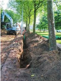 Bij waardevolle bomen draagt het opstellen van een Bomen Effect Analyse (BEA) bij aan de instandhouding en bescherming van de boom.