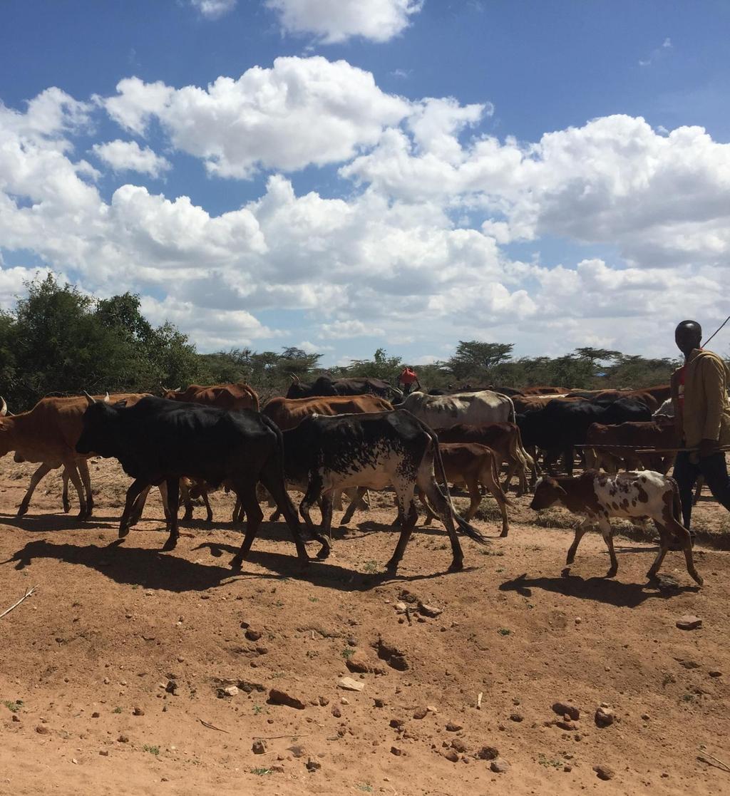 Onderweg naar de Maasai Mara zie je ze langs de weg hun alledaagse leven leiden.