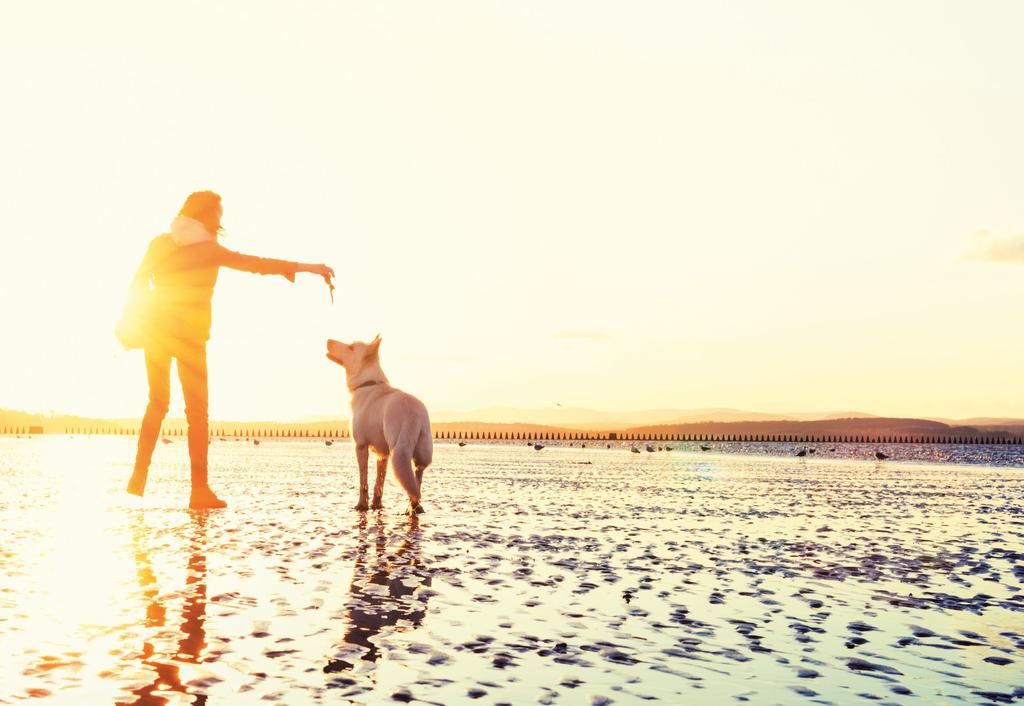 Inhoud 1. WAAROM IS VITAMINE D ZO BELANGRIJK? 4 2. WAT ZOUDEN ONZE VITAMINE D WAARDEN MOETEN ZIJN? 6 3. WAT ZIJN DE GEMIDDELDE VITAMINE D-NIVEAUS IN NEDERLAND? 7 4. JOUW VITAMINE D-WAARDEN 8 5.