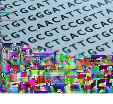 Erfelijke eigenschappen Kennisbank Bestudeer uit de Kennisbank biologie het onderdeel: KB: Chromosomen en celdeling KB: Erfelijke eigenschappen Test je kennis Beantwoord de volgende vragen over