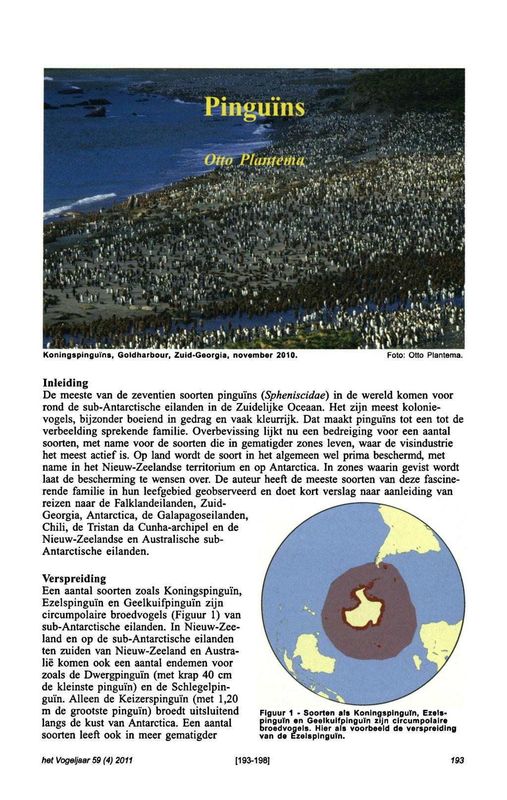 het Vogeljaar 59 (4) 2011 [193-198] 193 Soorten Pinguïns Otto Plantema Koningspinguïns, Goldharbour, Zuid-Georgia, november 2010.