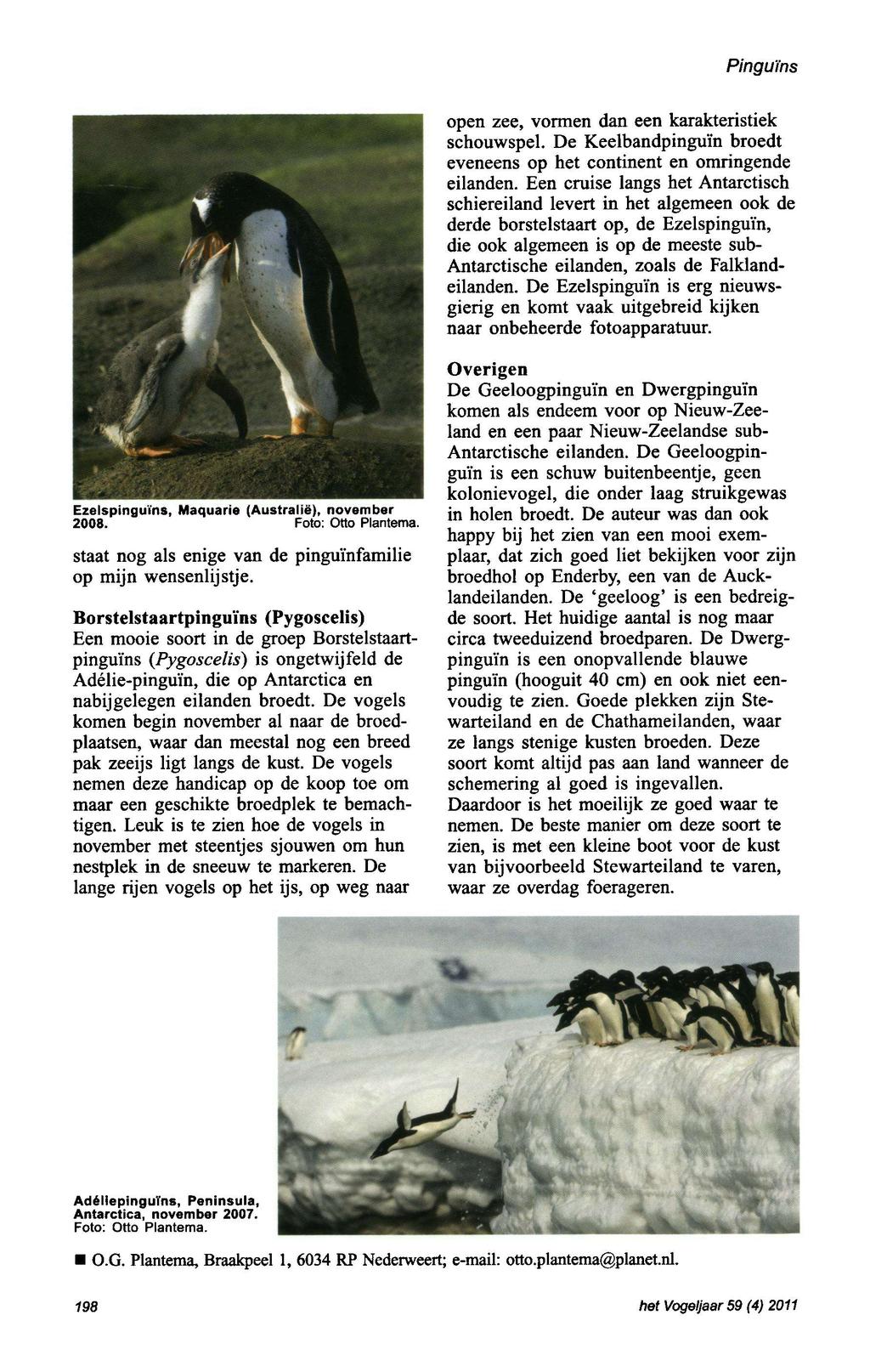 Pinguins open zee, vormen dan een karakteristiek schouwspel. De Keelbandpinguïn broedt eveneens op het continent en omringende eilanden.