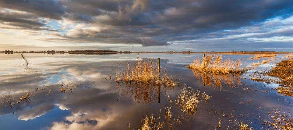 Implicaties nieuwe Wet Natuurbescherming op