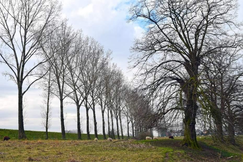 Voorstel groenstructuur voor het buitengebied Contrast tussen landschap en menselijke Ingrepen: terrasrand en