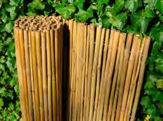 BAMBOE ARTIKELEN 38 BAMBOE PLUIMMAT Gemaakt van bamboe pluimen meerdere pluimen