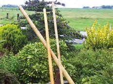 bamboe afmetingen 90 x 180 cm en 180 x 180 cm Dikte van de bamboe