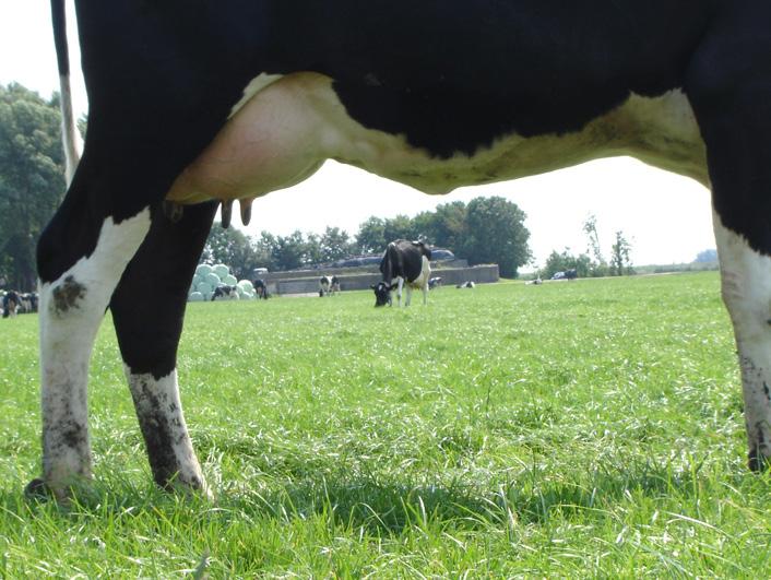 zijn keuzes in de bedrijfsvoering die consequenties hebben voor het energiegebruik.