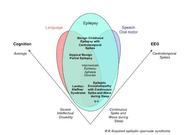 Epileptische encefalopathieën en overgangsvormen Epilepsy-Afasia spectrum Gemeenschappelijke kenmerken Focale epilepsie Sterke toename van epileptische