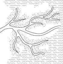 Kreken maken deel uit van het vertakkende patroon van waterlopen in de IJsseldelta. Een opvallende kreek is het Noorddiep met zijn brede rietbermen en grote wateroppervlak.