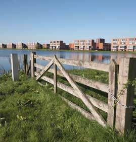 rust, ruimte en natuur.