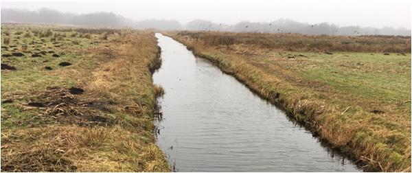 Steile oevers Kwelwater grotendeels verdwenen Stichts Ankeveen Oost Mogelijke oplossingen: Waterschap: Inlaat uit s