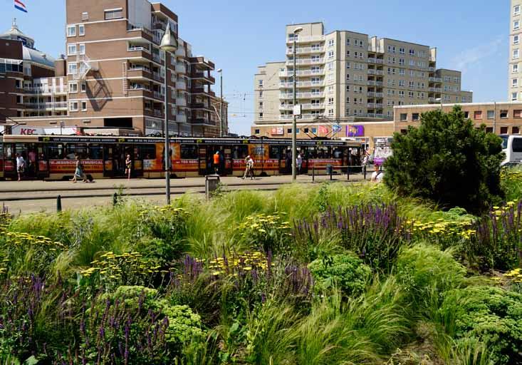 Vergroenen Het vergroenen van de badplaats wordt op verschillende manieren vormgegeven.