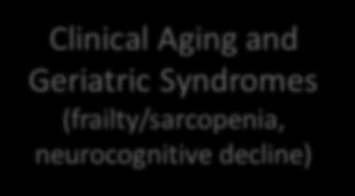 Syndromes (frailty/sarcopenia, neurocognitive