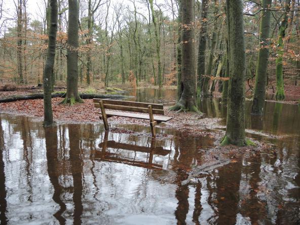 6. Leerpunten Leerpunten: Durf te experimenteren en fouten te maken Samenwerken: maak gebruik van elkaars kennis en ervaring Geen