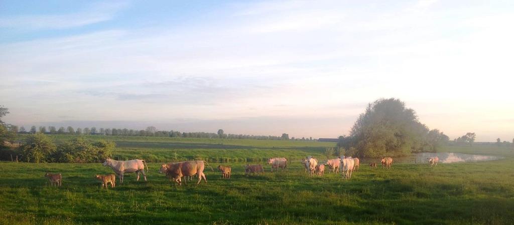 Warnsveld, 25 augustus 2013 Beste mensen, Nog volop in de zomer, genieten van het mooie weer en van de rust die je jezelf hopelijk hebt gegund, beginnen we ook weer met een nieuwe periode.