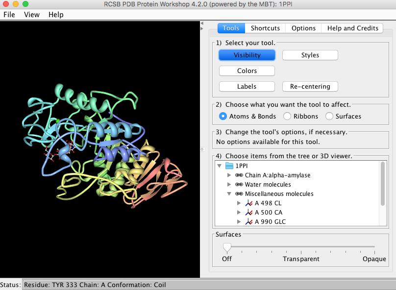 2. Struktuur visualisatie met Protein WorkShop Klik op PDB entry 1ppi vanuit de Molecule of the Month pagina over alphaamylase.