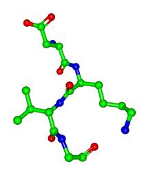 Weergave van eiwitstrukturen Eiwitten zijn erg grote moleculen. Voor de weergave van deze moleculen worden verschillende manieren gebruikt.