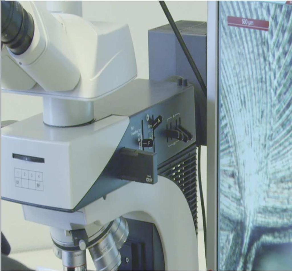 ONDERSTEUNING LABORATORIUM / R&D Microscopisch onderzoek