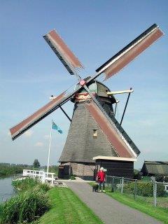 Deze verbeteringen zijn mede tot stand gekomen door inzet van de molenaar van de Vlietmolen. Door het Waterschap Rivierenland wordt langs de kade periodiek snoeiwerk uitgevoerd.