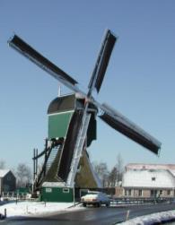 Aan de noord - westkant van de molen zijn langs de Zeemansweg door de gemeente de zeer hoge populieren gekapt.