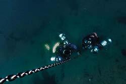type rebreather Het gebruik van bail out valves (BOV) tijdens Tec 40 CCR- en Tec 60 CCRcursussen Stops op diepte niet meer vereist De laatste jaren is men binnen de duikgemeenschap anders aan gaan