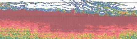 echosounder (Fig. 20) tonen duidelijk hoe de zeebaarzen naar de zeebodem duiken in reactie op deze geluidsprikkel. In het najaar gaat de zeebaars opnieuw veel agressiever dichter bij de bodem jagen.