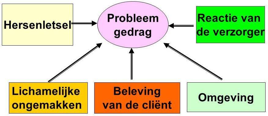 Onderzoek Beoordeel mogelijke factoren probleemgedrag o Lichamelijke factoren (somatiek, psychiatrie,