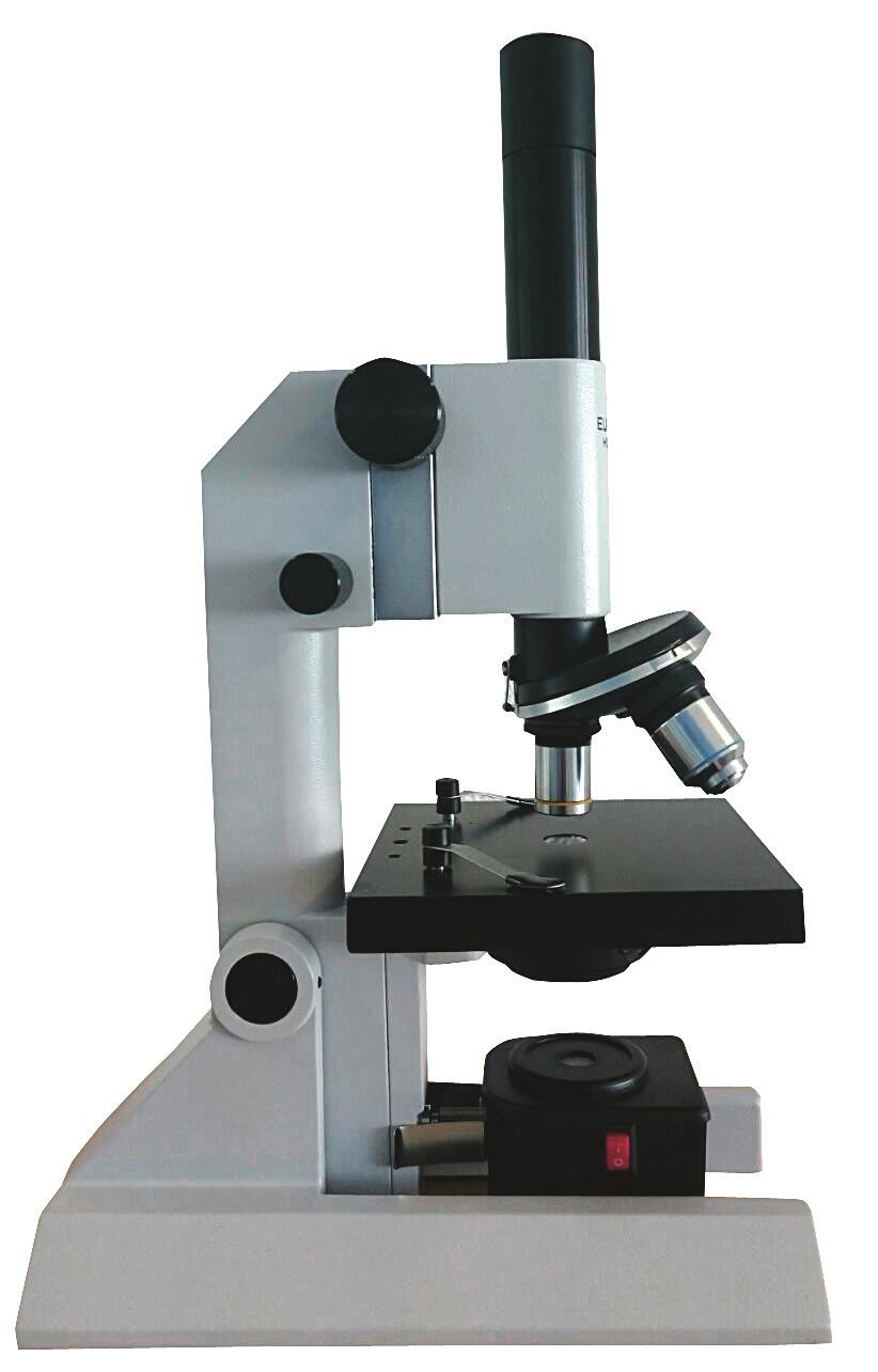 de Nederlandse uitvinder van de microscoop Antoni van