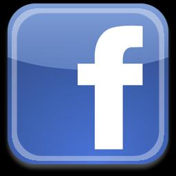 Sociale media : Facebook In 2016 heeft het Infopunt 99 berichten