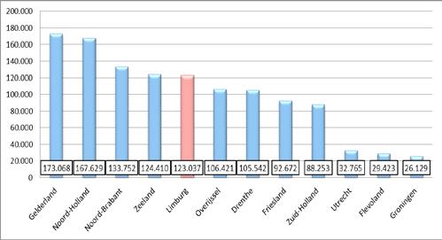 Figuur 3.2. Aantal slaapplaatsen per provincie 2012 Bron: CBS 3.3 Aanbod in Limburg naar sector Net als in 2011 zijn hotels het meest voorkomend accommodatietype in Limburg.