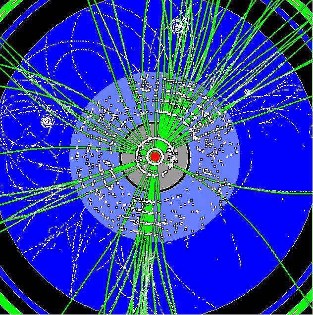 Higgs veld