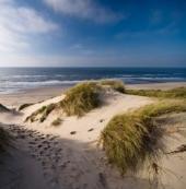 Wij beheren de duinen landwaarts van de duinvoet, het gebied tussen de duinvoet en de zee is in beheer bij Rijkswaterstaat.