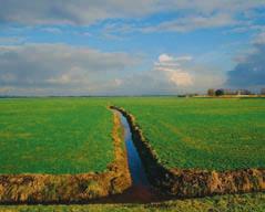 Figuur 3.10: Behoud van openheid, zoals hier in de voorgenomen Nationaal Landschap Groene Hart, is vooral gebaat bij restrictief beleid.