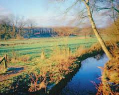 11: Behoud van kleinschaligheid, zoals in een deel van het voorgenomen Nationaal Landschap Veluwe, vraagt om herstel en beheer van de kenmerkende beplanting.