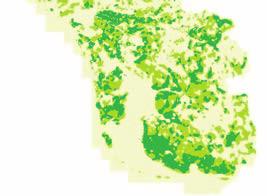 schappen zijn echter buiten de Nationale Landschappen gebleven. Voorbeelden zijn de Belvedèregebieden Vijfherenlanden (deels), West-Friesland, Noordoostpolder en Kiel-Windeweer.