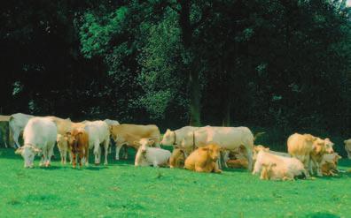 extra schoonhouden of het bergen van water. Het Programma Beheer biedt de mogelijkheid agrarisch natuur- en landschapsbeheer te subsidiëren. De AVP handhaaft bestaand beleid door voor 96.