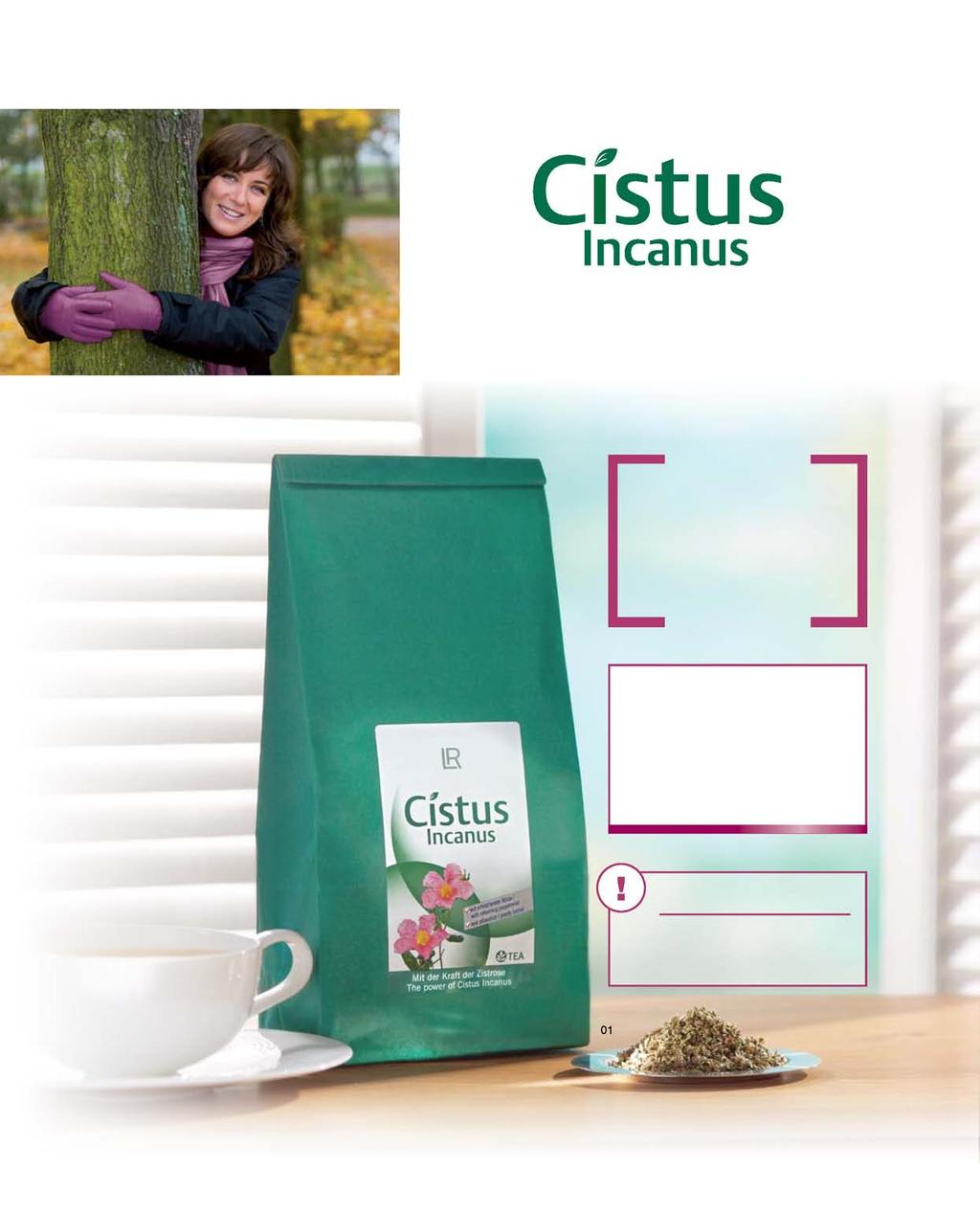14 Onze kwaliteitsbelofte Voor onze Cistus Incanusproducten gebruiken wij uitsluitend de fijne snede van de hoogwaardige, rijke bladeren. Hout, stengels of snijafval worden zorgzaam gesorteerd.
