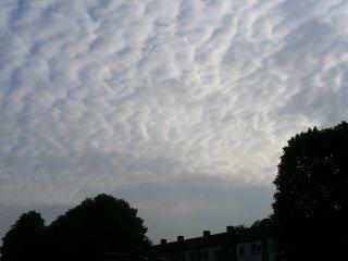 Altocumulus (Ac) Altocumulus. Bij deze wolken wisselen openingen en wolkenelementen elkaar vaak op regelmatige wijze af.