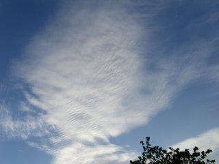 Andere soorten van altocumulus zijn de wolken die meer een lens- of amandelvormig uiterlijk hebben.