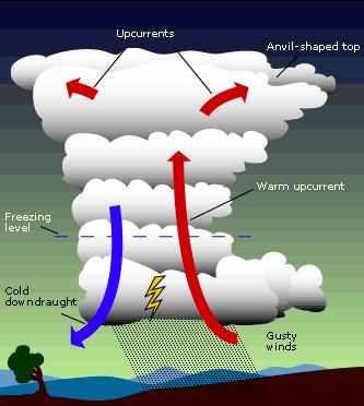 De vorming van hagel IJsdeeltjes, die enkele malen in de stijgstroom van de buienwolk terecht komen, kunnen aangroeien tot een hagelsteen.